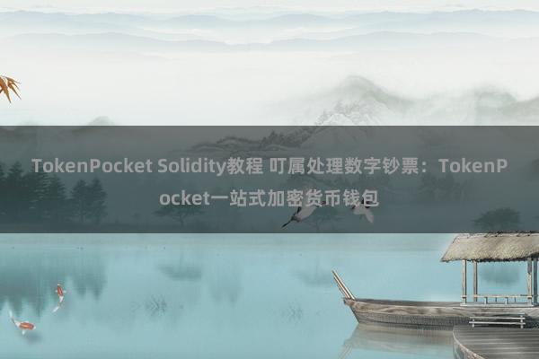 TokenPocket Solidity教程 叮属处理数字钞票：TokenPocket一站式加密货币钱包